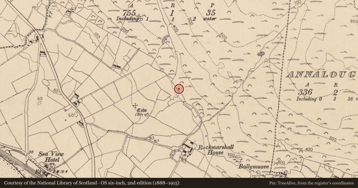 Ordnance Survey six-inch map, 2nd edition (1888–1915) covering the location of Fulacht fia, Rockmarshall, County Louth, with a pin at the register's coordinates