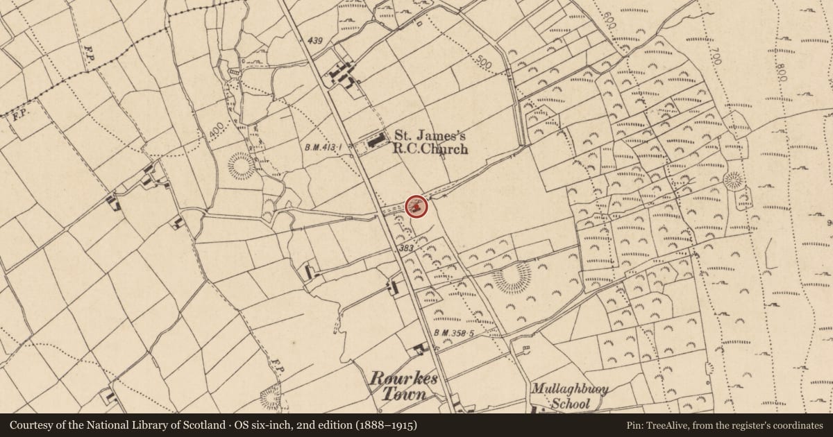 Ordnance Survey six-inch map, 2nd edition (1888–1915) covering the location of Church, Castletowncooley, County Louth, with a pin at the register's coordinates