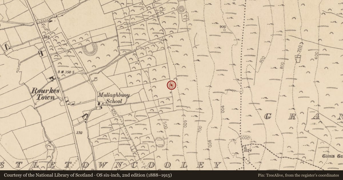 Ordnance Survey six-inch map, 2nd edition (1888–1915) covering the location of Children's burial ground, Castletowncooley, County Louth, with a pin at the register's coordinates