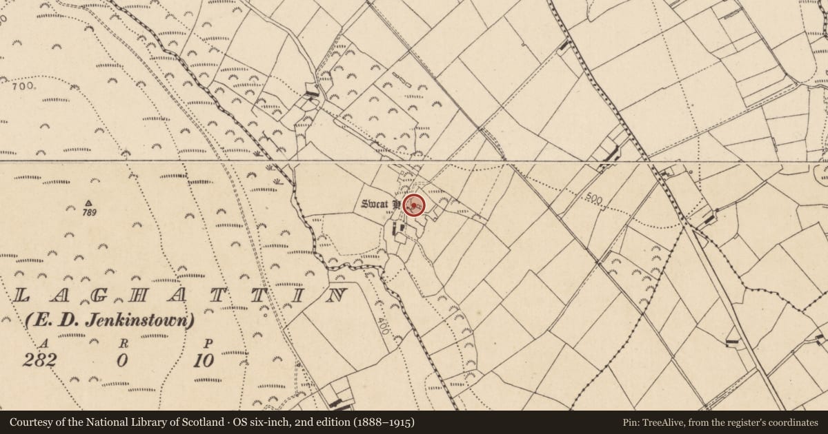 Ordnance Survey six-inch map, 2nd edition (1888–1915) covering the location of Sweathouse, Aghameen, County Louth, with a pin at the register's coordinates