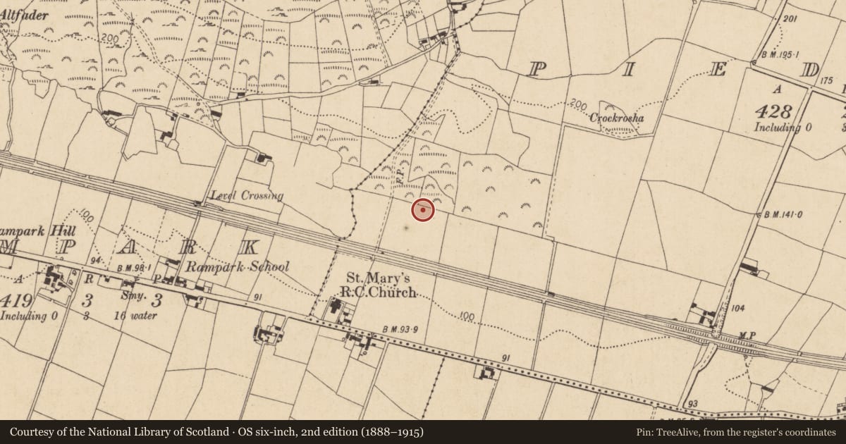 Ordnance Survey six-inch map, 2nd edition (1888–1915) covering the location of Pit-burial, Piedmont, County Louth, with a pin at the register's coordinates