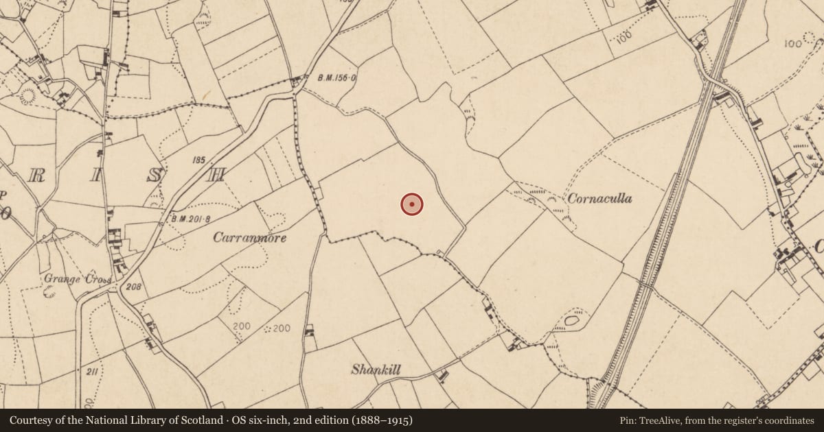 Ordnance Survey six-inch map, 2nd edition (1888–1915) covering the location of Cairn - unclassified, Liberties of Carlingford, County Louth, with a pin at the register's coordinates