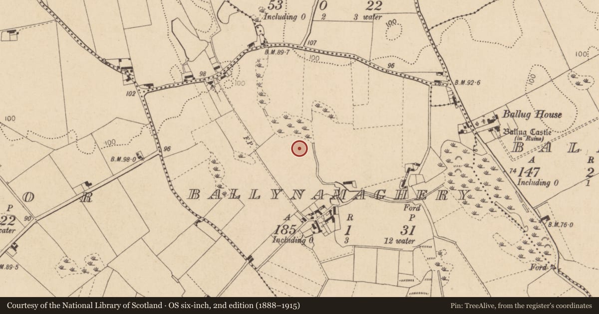 Ordnance Survey six-inch map, 2nd edition (1888–1915) covering the location of Enclosure, Galtrimsland, County Louth, with a pin at the register's coordinates