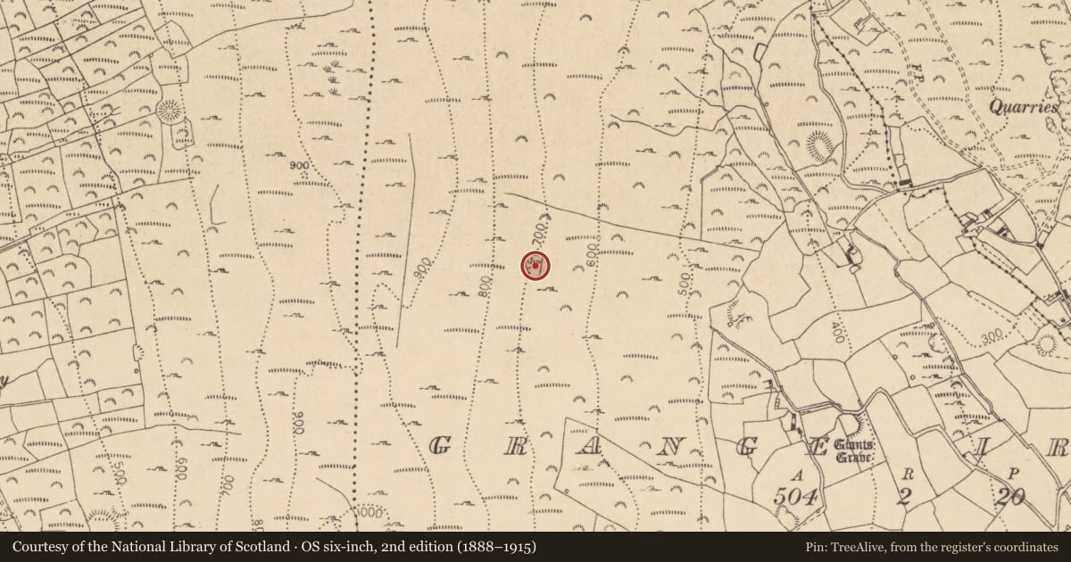 Ordnance Survey six-inch map, 2nd edition (1888–1915) covering the location of Enclosure, Grange Irish, County Louth, with a pin at the register's coordinates