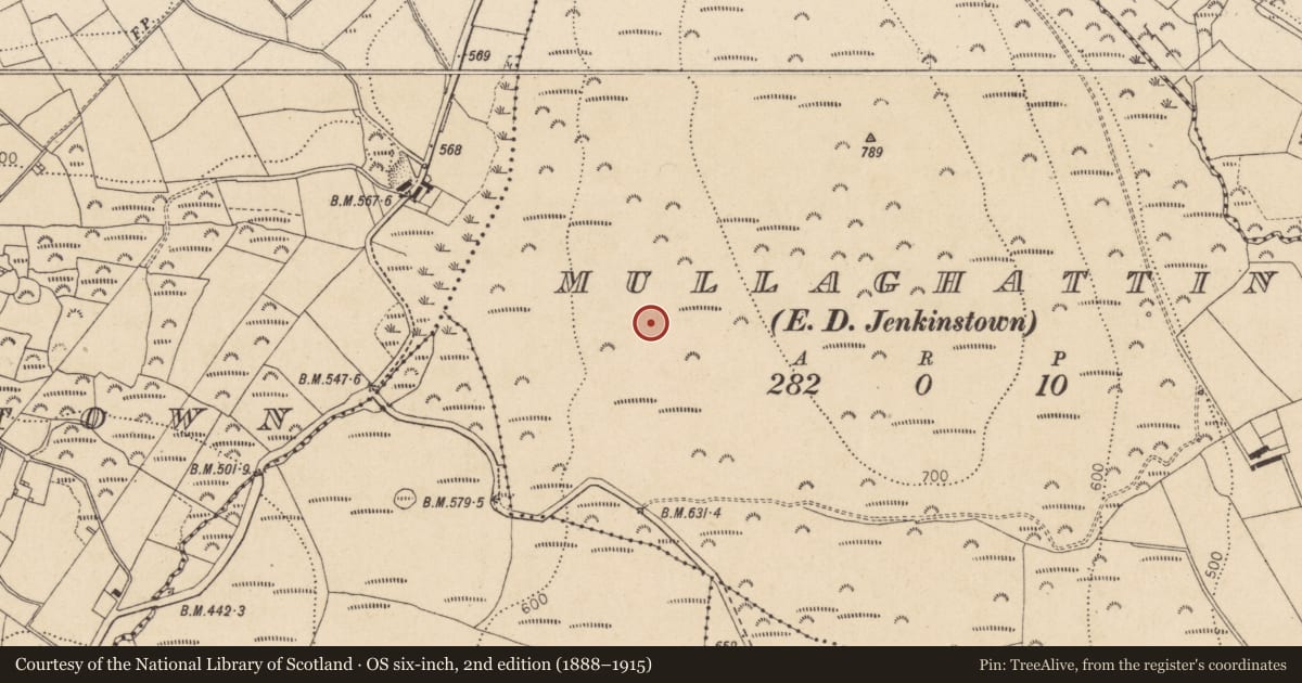 Ordnance Survey six-inch map, 2nd edition (1888–1915) covering the location of Enclosure, Mullaghattin (Dundalk Lwr by, County Louth, with a pin at the register's coordinates