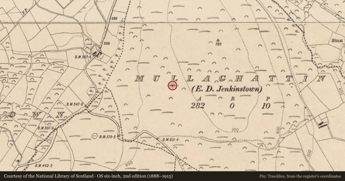 Ordnance Survey six-inch map, 2nd edition (1888–1915) covering the location of Earthwork, Mullaghattin (Dundalk Lwr by, County Louth, with a pin at the register's coordinates