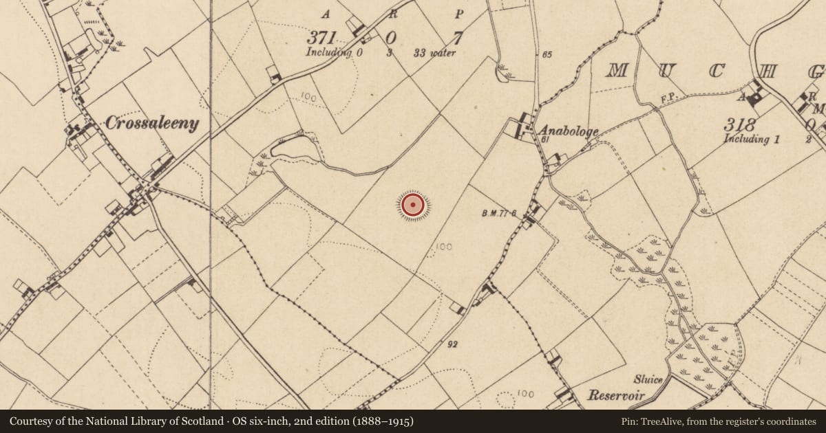 Ordnance Survey six-inch map, 2nd edition (1888–1915) covering the location of Souterrain, Millgrange, County Louth, with a pin at the register's coordinates