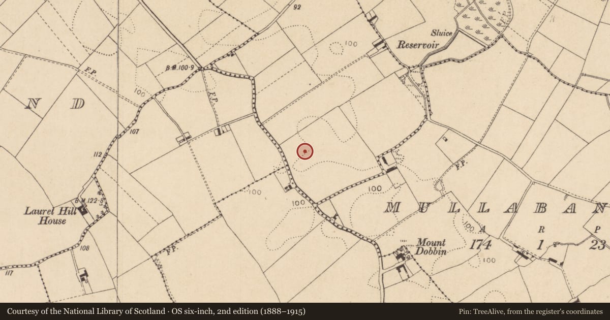 Ordnance Survey six-inch map, 2nd edition (1888–1915) covering the location of Barrow - unclassified, Millgrange, County Louth, with a pin at the register's coordinates