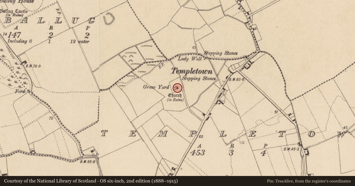 Ordnance Survey six-inch map, 2nd edition (1888–1915) covering the location of Church, Templetown, County Louth, with a pin at the register's coordinates