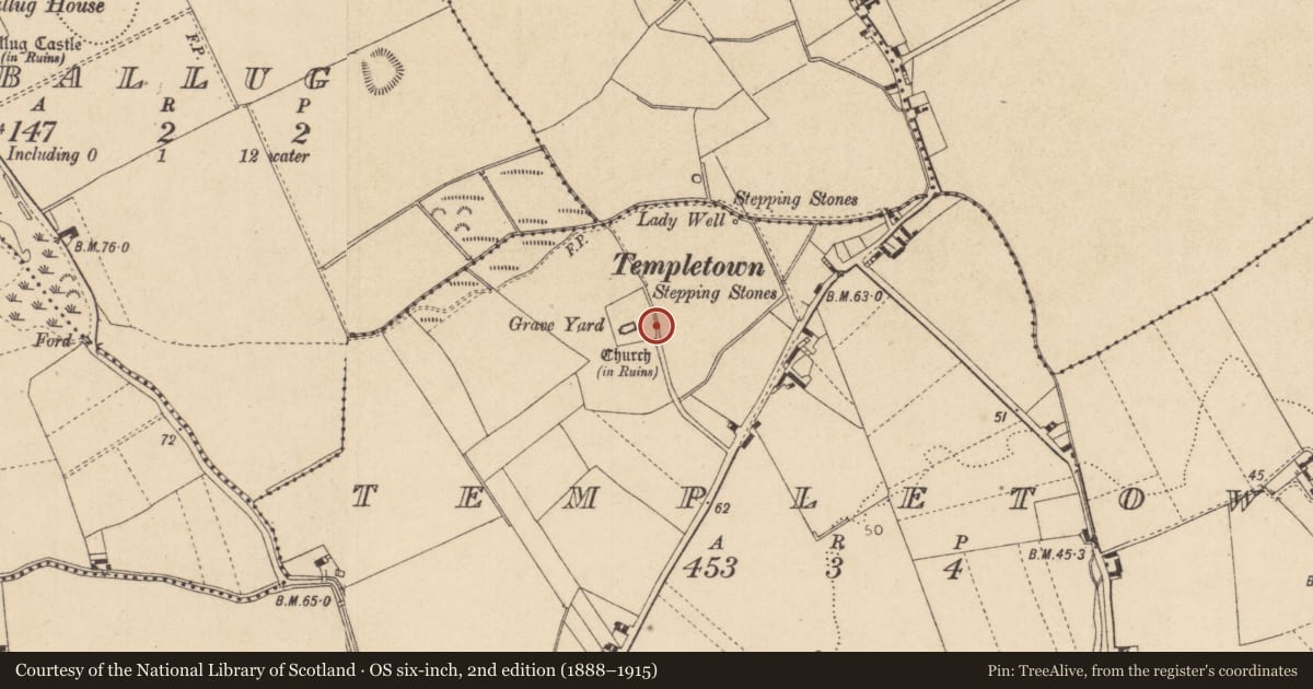 Ordnance Survey six-inch map, 2nd edition (1888–1915) covering the location of Architectural fragment, Templetown, County Louth, with a pin at the register's coordinates