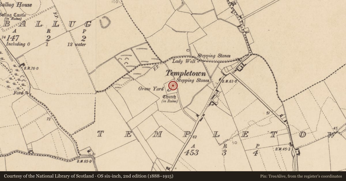 Ordnance Survey six-inch map, 2nd edition (1888–1915) covering the location of Graveyard, Templetown, County Louth, with a pin at the register's coordinates