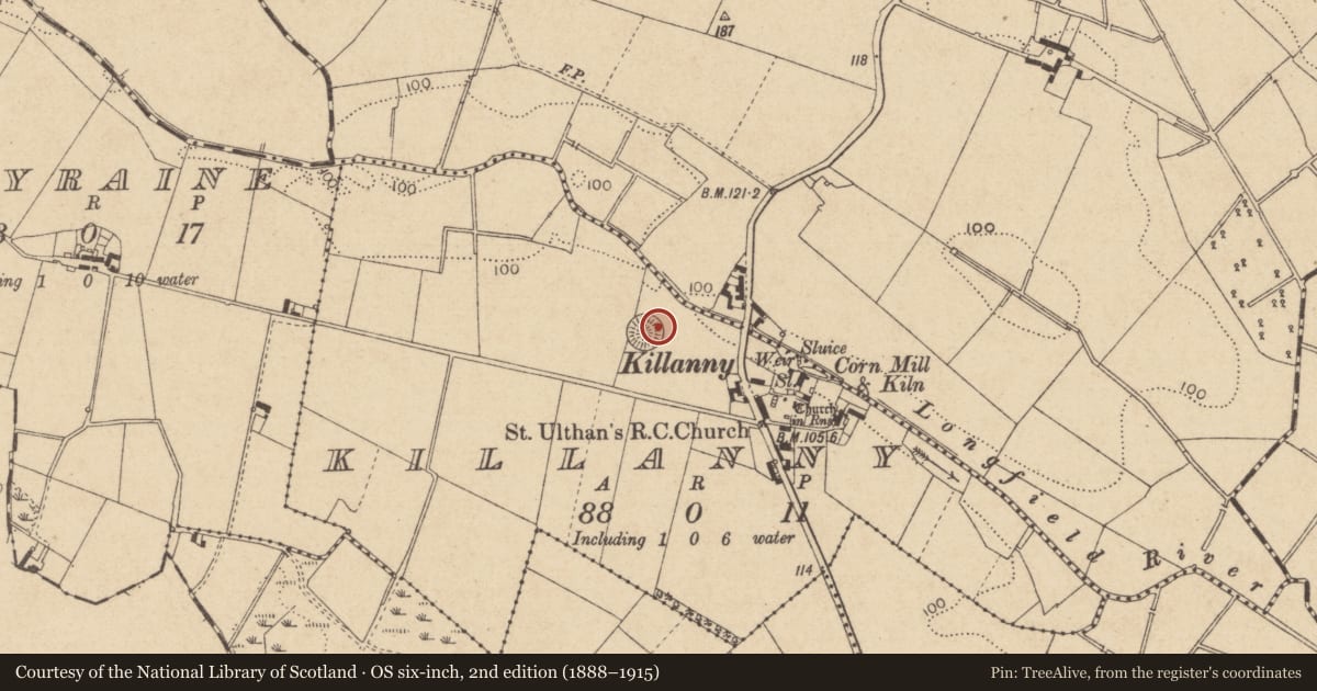 Ordnance Survey six-inch map, 2nd edition (1888–1915) covering the location of Castle - motte and bailey, Killanny, County Louth, with a pin at the register's coordinates
