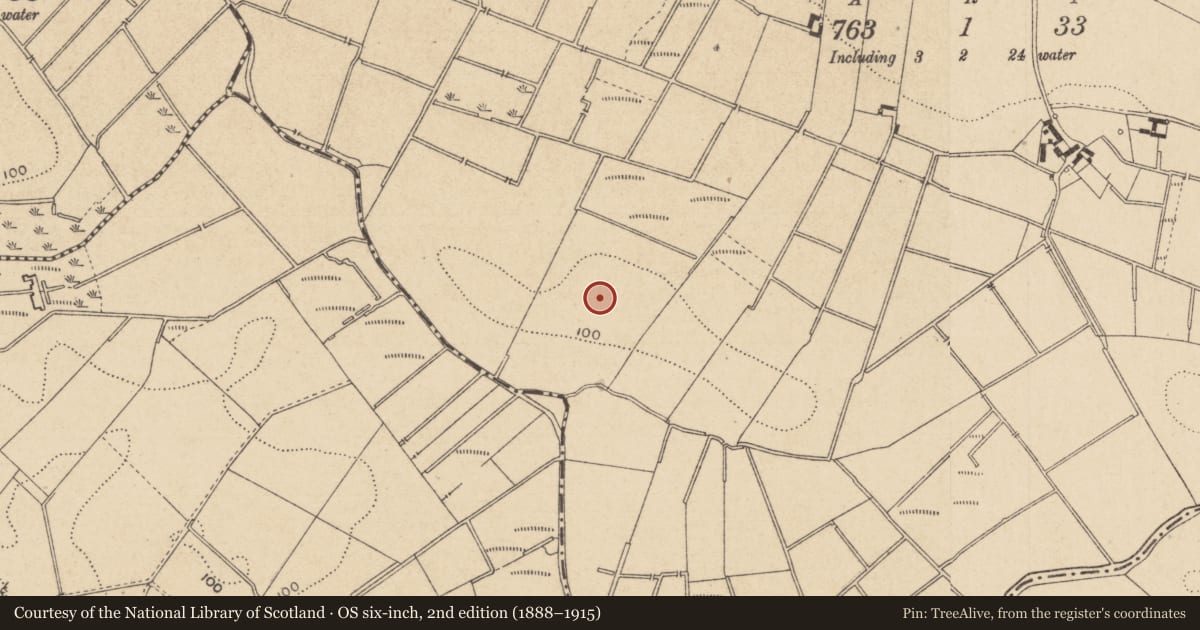 Ordnance Survey six-inch map, 2nd edition (1888–1915) covering the location of Enclosure, Tully (Louth by, County Louth, with a pin at the register's coordinates
