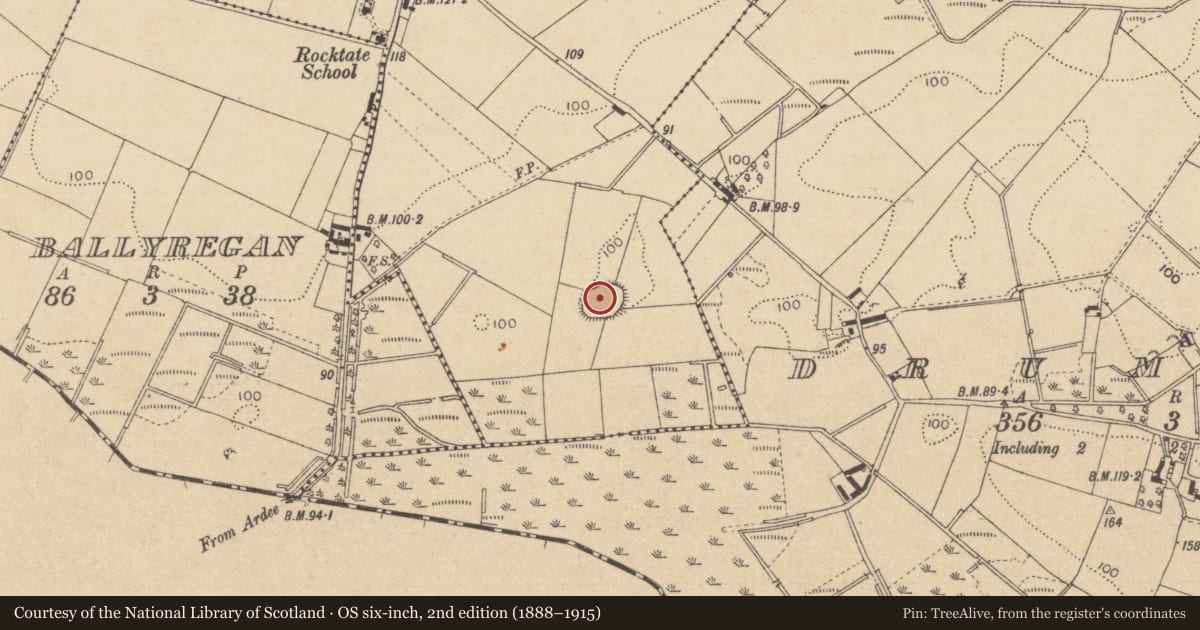 Ordnance Survey six-inch map, 2nd edition (1888–1915) covering the location of Ringfort - rath, Carrickavallan, County Louth, with a pin at the register's coordinates