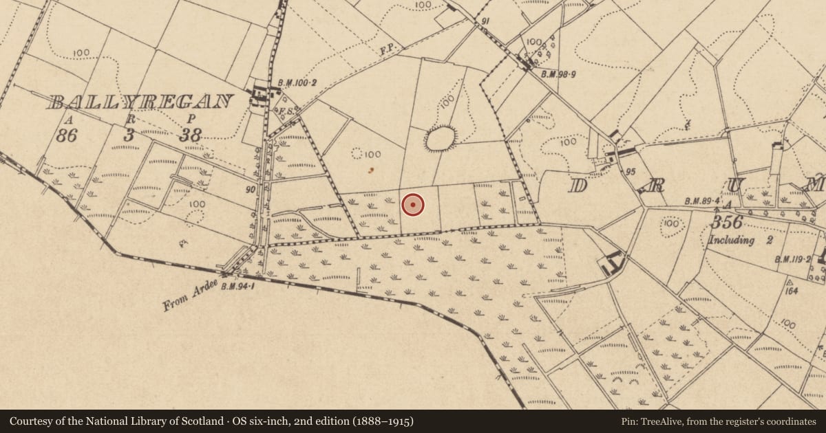 Ordnance Survey six-inch map, 2nd edition (1888–1915) covering the location of Souterrain, Carrickavallan, County Louth, with a pin at the register's coordinates