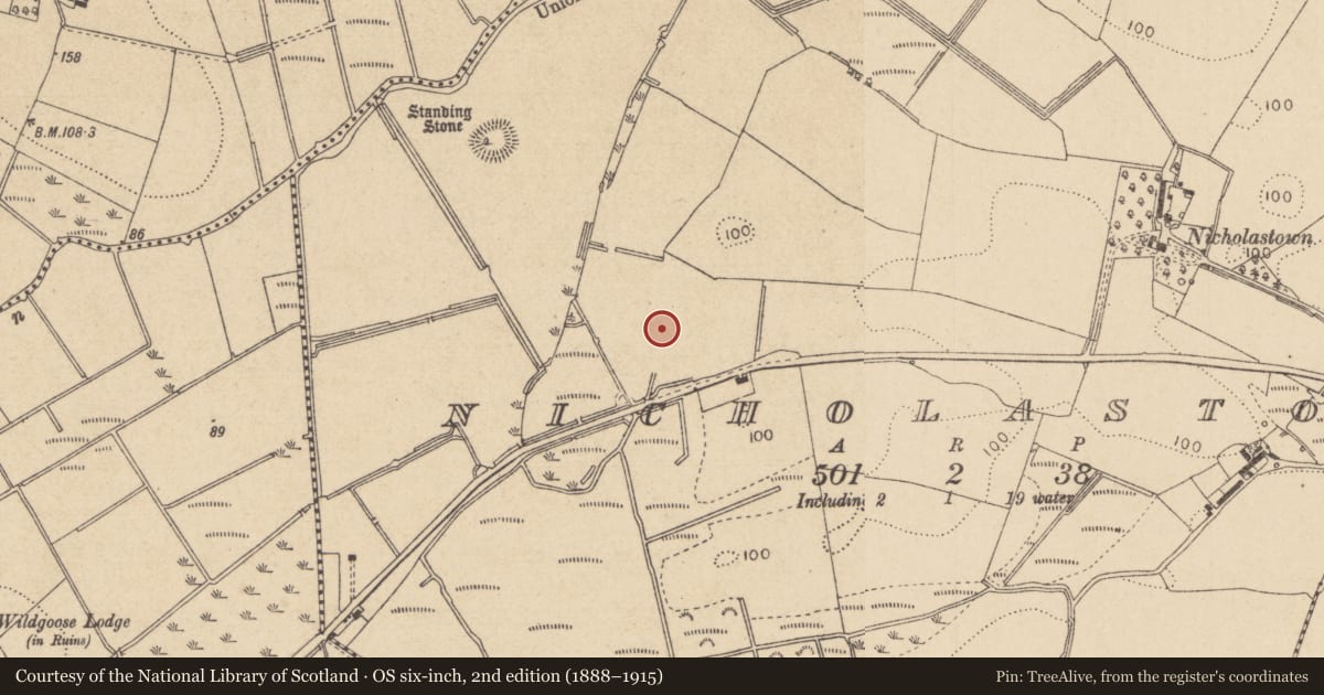Ordnance Survey six-inch map, 2nd edition (1888–1915) covering the location of Ringfort - rath, Nicholastown, County Louth, with a pin at the register's coordinates