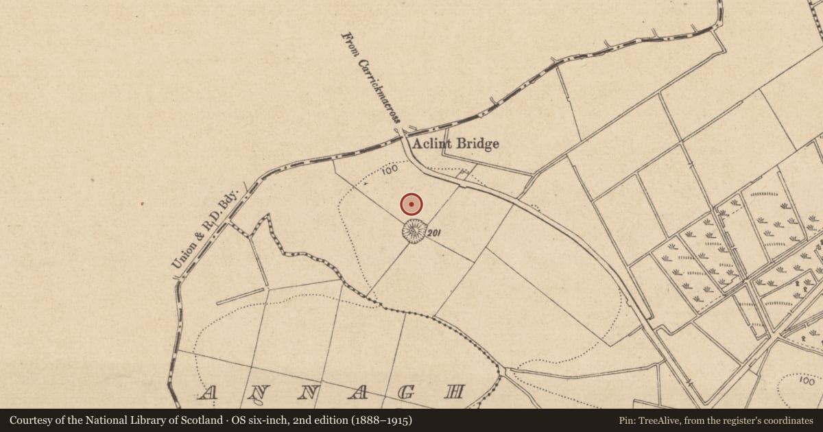 Ordnance Survey six-inch map, 2nd edition (1888–1915) covering the location of Souterrain, Aclint, County Louth, with a pin at the register's coordinates