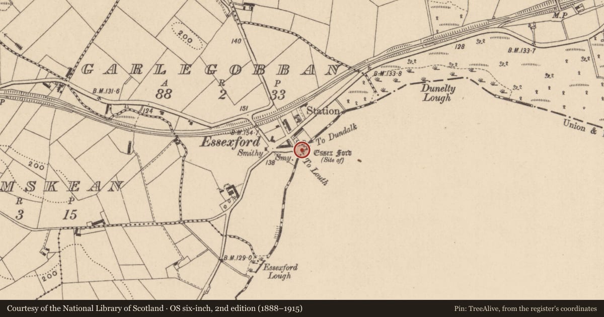 Ordnance Survey six-inch map, 2nd edition (1888–1915) covering the location of Ford, Essexford, County Louth, with a pin at the register's coordinates