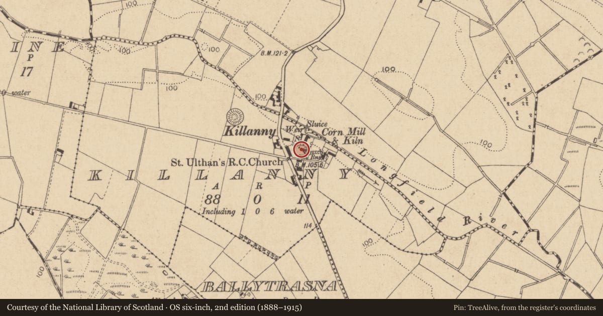 Ordnance Survey six-inch map, 2nd edition (1888–1915) covering the location of Church, Killanny, County Louth, with a pin at the register's coordinates