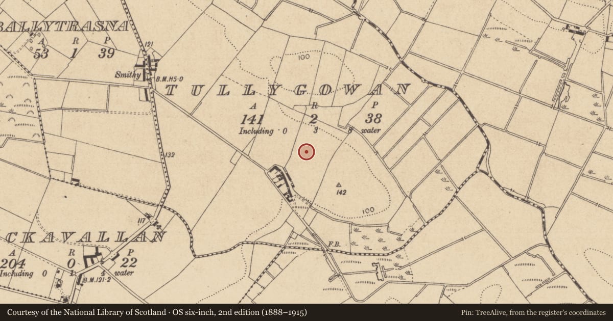 Ordnance Survey six-inch map, 2nd edition (1888–1915) covering the location of Enclosure, Tullygowan, County Louth, with a pin at the register's coordinates