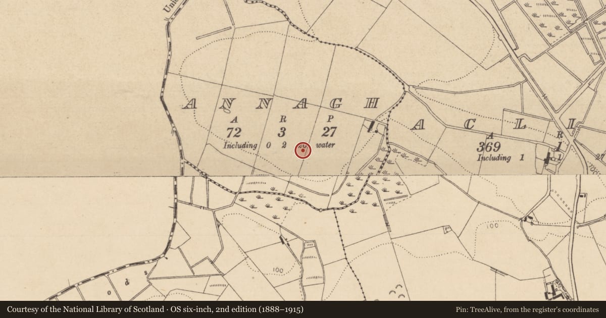 Ordnance Survey six-inch map, 2nd edition (1888–1915) covering the location of Ringfort - rath, Annagh, County Louth, with a pin at the register's coordinates