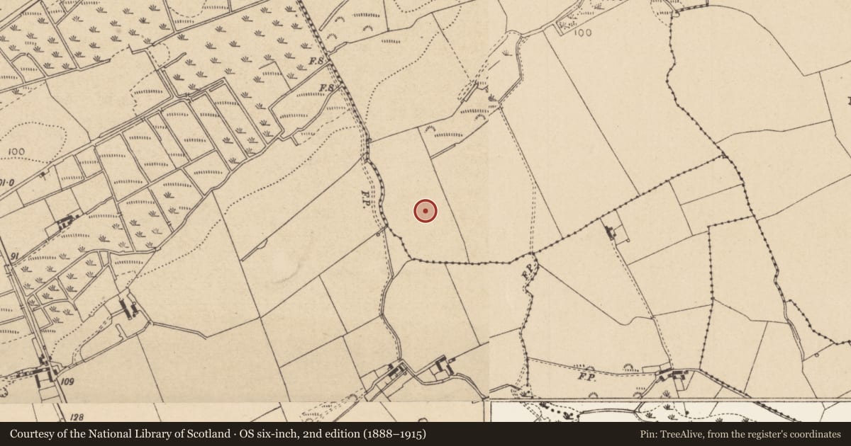 Ordnance Survey six-inch map, 2nd edition (1888–1915) covering the location of Ring-ditch, Nicholastown, County Louth, with a pin at the register's coordinates