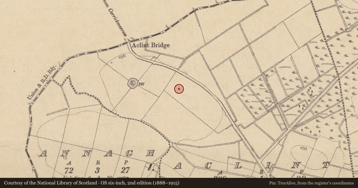 Ordnance Survey six-inch map, 2nd edition (1888–1915) covering the location of Ringfort - rath, Aclint, County Louth, with a pin at the register's coordinates