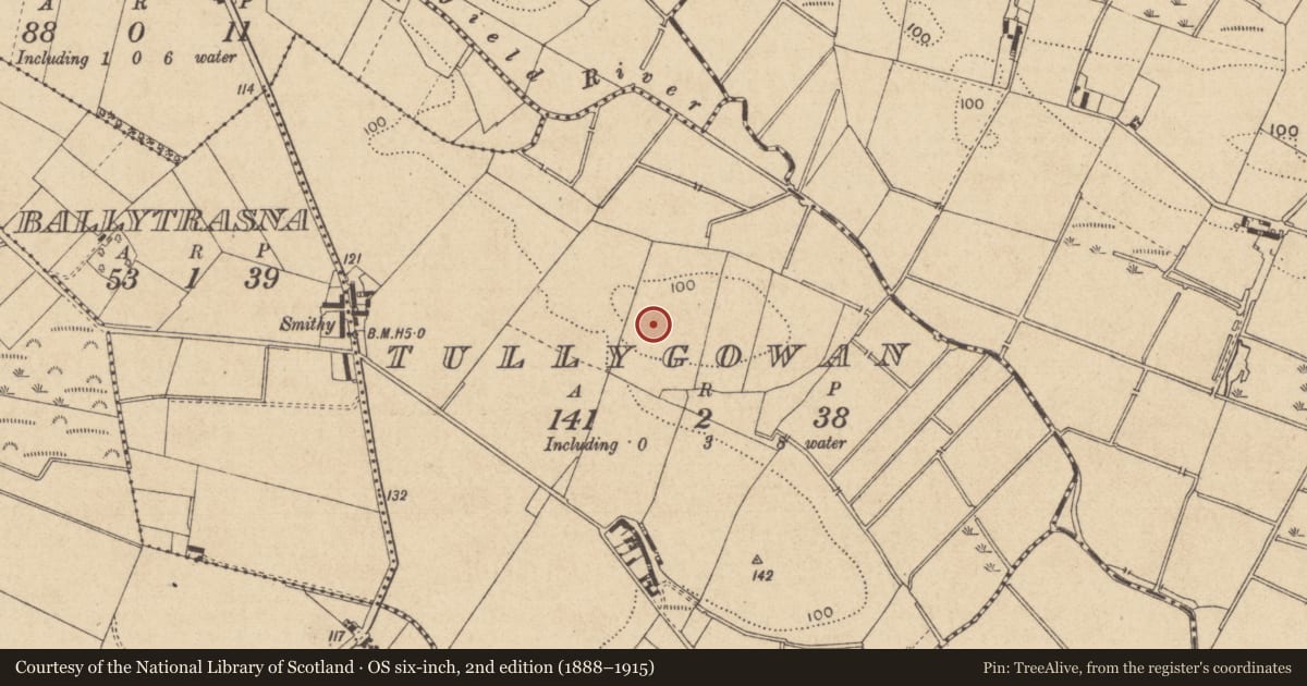 Ordnance Survey six-inch map, 2nd edition (1888–1915) covering the location of Enclosure, Tullygowan, County Louth, with a pin at the register's coordinates
