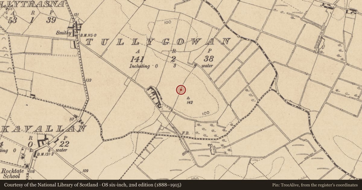 Ordnance Survey six-inch map, 2nd edition (1888–1915) covering the location of Enclosure, Tullygowan, County Louth, with a pin at the register's coordinates