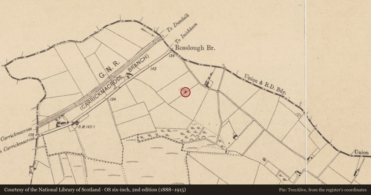 Ordnance Survey six-inch map, 2nd edition (1888–1915) covering the location of Ringfort - rath, Rosslough, County Louth, with a pin at the register's coordinates