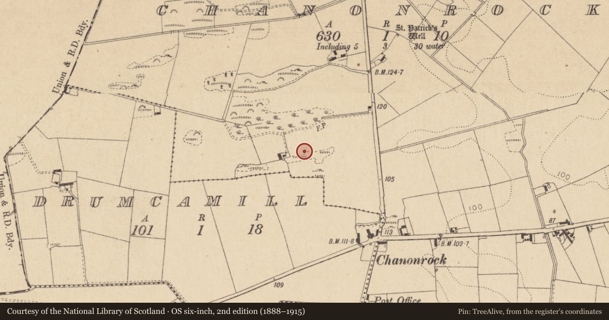 Ordnance Survey six-inch map, 2nd edition (1888–1915) covering the location of Souterrain, Chanonrock, County Louth, with a pin at the register's coordinates