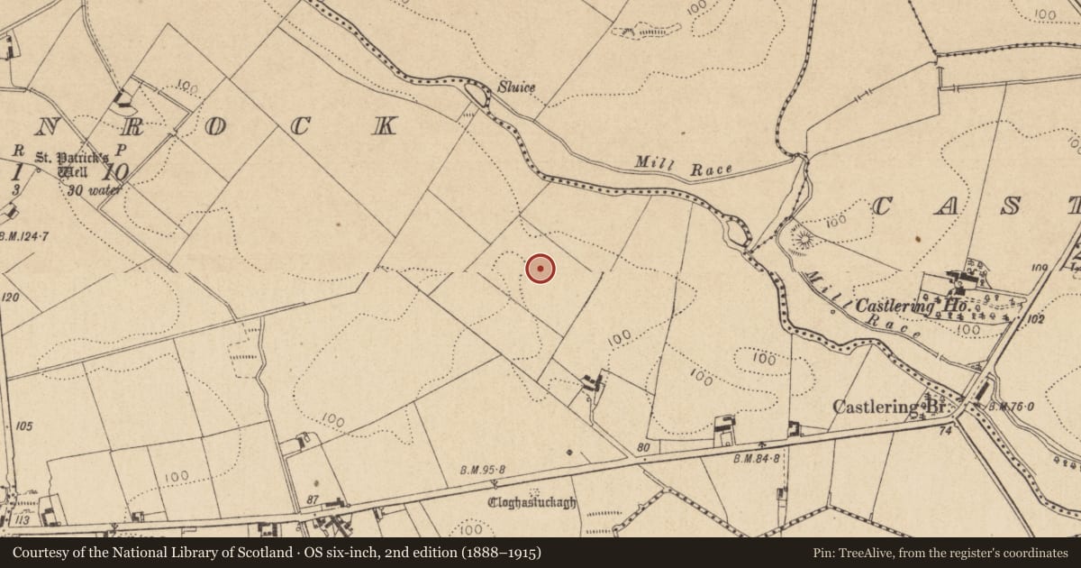 Ordnance Survey six-inch map, 2nd edition (1888–1915) covering the location of Souterrain, Chanonrock, County Louth, with a pin at the register's coordinates