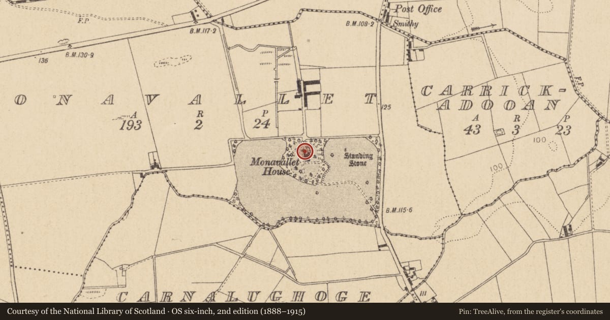 Ordnance Survey six-inch map, 2nd edition (1888–1915) covering the location of Souterrain, Monavallet, County Louth, with a pin at the register's coordinates