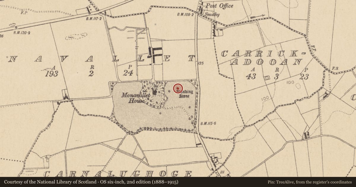 Ordnance Survey six-inch map, 2nd edition (1888–1915) covering the location of Standing stone, Monavallet, County Louth, with a pin at the register's coordinates