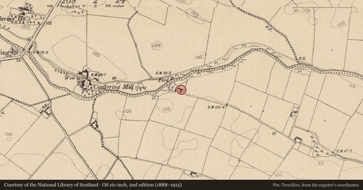 Ordnance Survey six-inch map, 2nd edition (1888–1915) covering the location of Souterrain, Grange, County Louth, with a pin at the register's coordinates