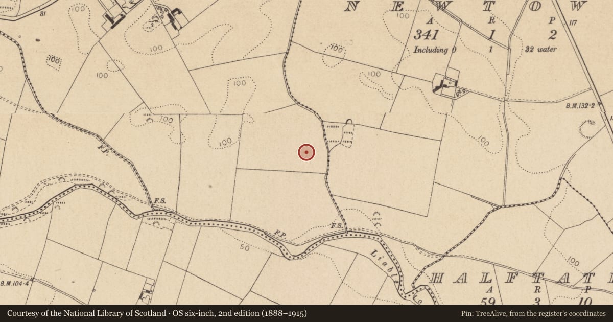 Ordnance Survey six-inch map, 2nd edition (1888–1915) covering the location of Enclosure, Carrickmullan, County Louth, with a pin at the register's coordinates
