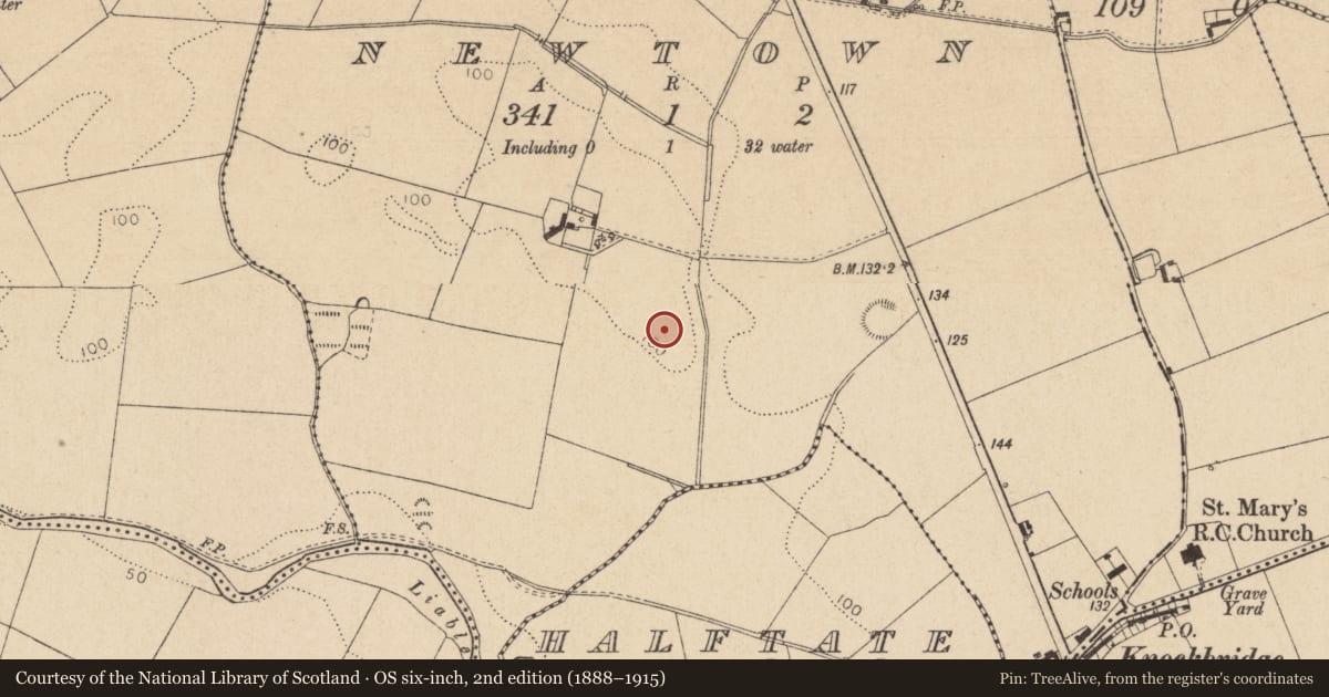 Ordnance Survey six-inch map, 2nd edition (1888–1915) covering the location of Enclosure, Newtown, County Louth, with a pin at the register's coordinates