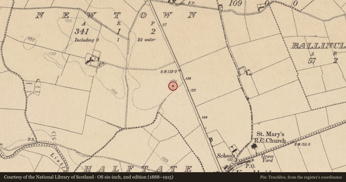 Ordnance Survey six-inch map, 2nd edition (1888–1915) covering the location of Ringfort - rath, Newtown, County Louth, with a pin at the register's coordinates