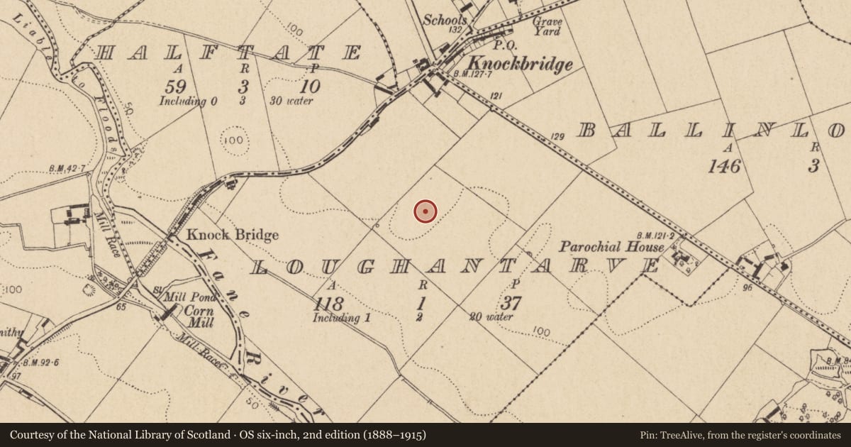 Ordnance Survey six-inch map, 2nd edition (1888–1915) covering the location of Enclosure, Loughantarve, County Louth, with a pin at the register's coordinates