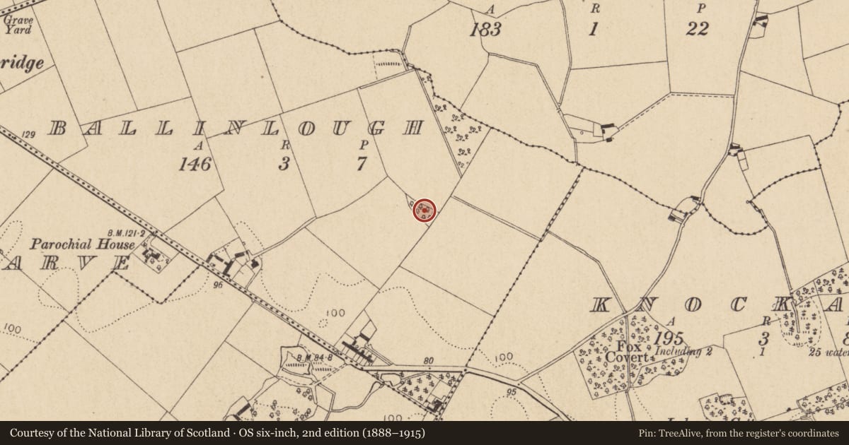 Ordnance Survey six-inch map, 2nd edition (1888–1915) covering the location of Souterrain, Ballinlough, County Louth, with a pin at the register's coordinates