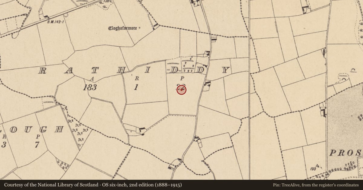 Ordnance Survey six-inch map, 2nd edition (1888–1915) covering the location of Enclosure, Rathiddy, County Louth, with a pin at the register's coordinates
