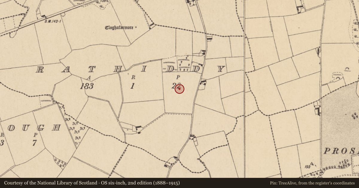 Ordnance Survey six-inch map, 2nd edition (1888–1915) covering the location of Souterrain, Rathiddy, County Louth, with a pin at the register's coordinates