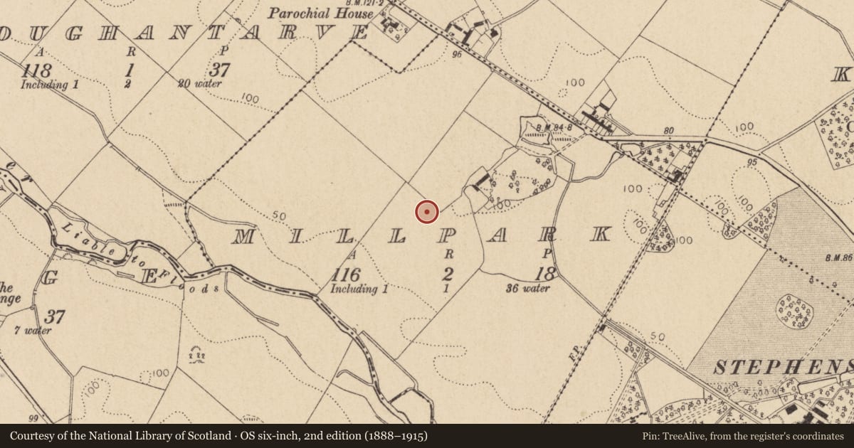 Ordnance Survey six-inch map, 2nd edition (1888–1915) covering the location of Souterrain, Millpark, County Louth, with a pin at the register's coordinates
