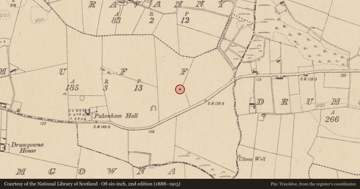 Ordnance Survey six-inch map, 2nd edition (1888–1915) covering the location of Enclosure, Muff, County Louth, with a pin at the register's coordinates