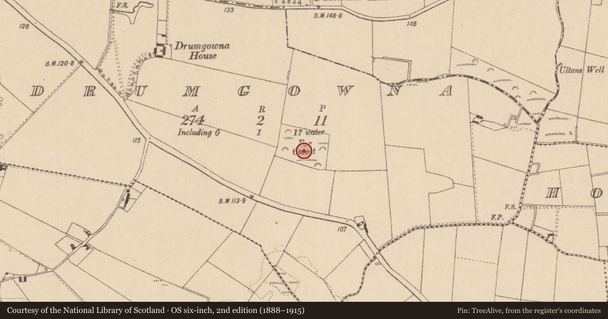 Ordnance Survey six-inch map, 2nd edition (1888–1915) covering the location of Souterrain, Drumgowna, County Louth, with a pin at the register's coordinates