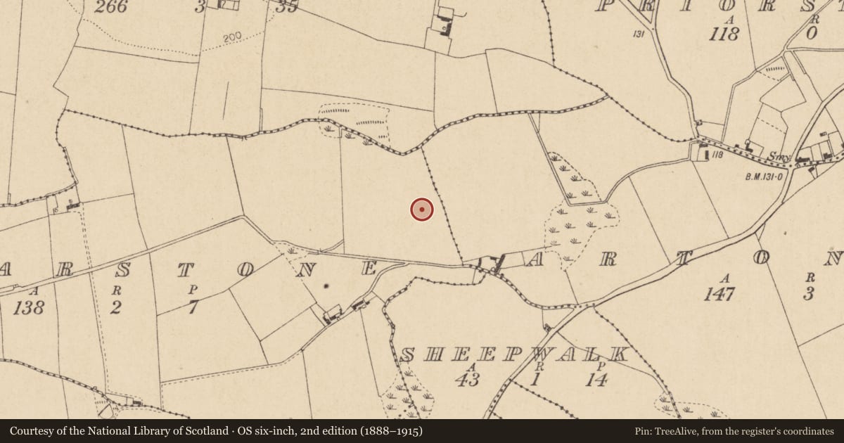 Ordnance Survey six-inch map, 2nd edition (1888–1915) covering the location of Souterrain, Hoarstone, County Louth, with a pin at the register's coordinates
