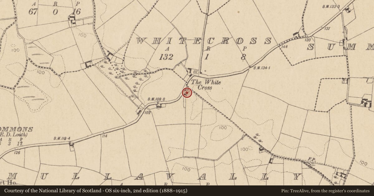 Ordnance Survey six-inch map, 2nd edition (1888–1915) covering the location of Cross, Mullavally, County Louth, with a pin at the register's coordinates