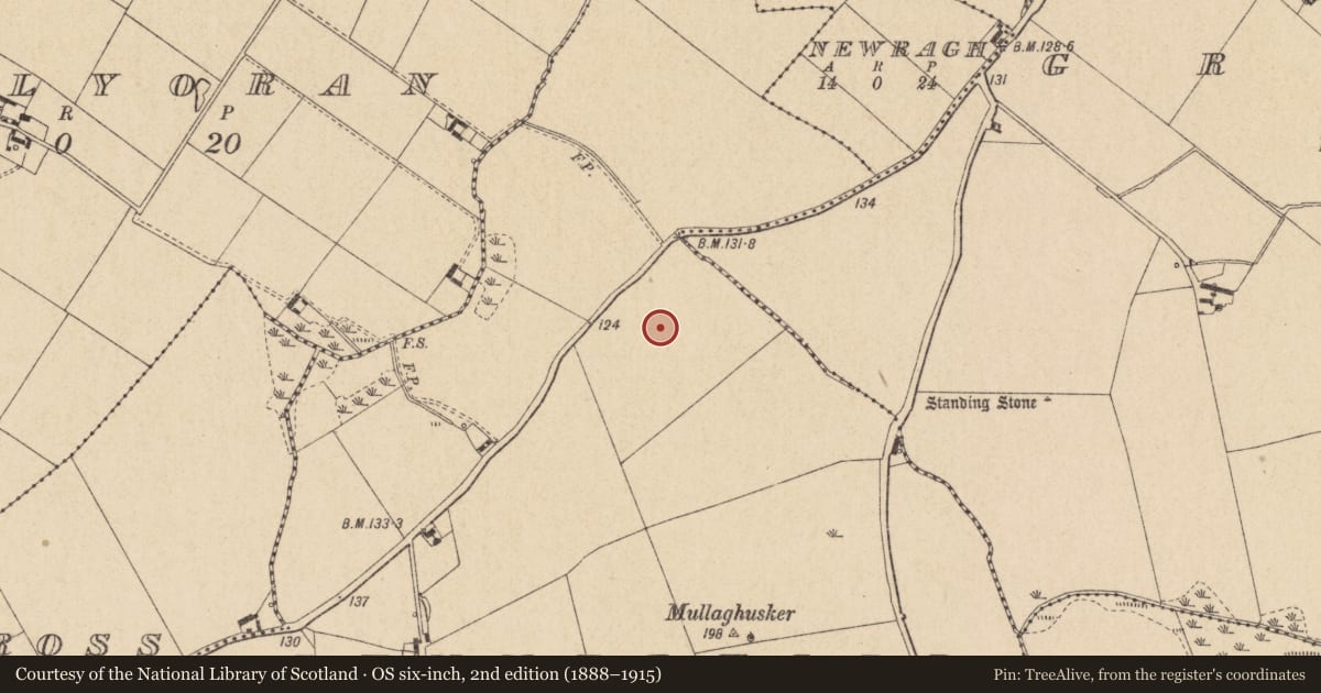 Ordnance Survey six-inch map, 2nd edition (1888–1915) covering the location of Enclosure, Summerhill, County Louth, with a pin at the register's coordinates