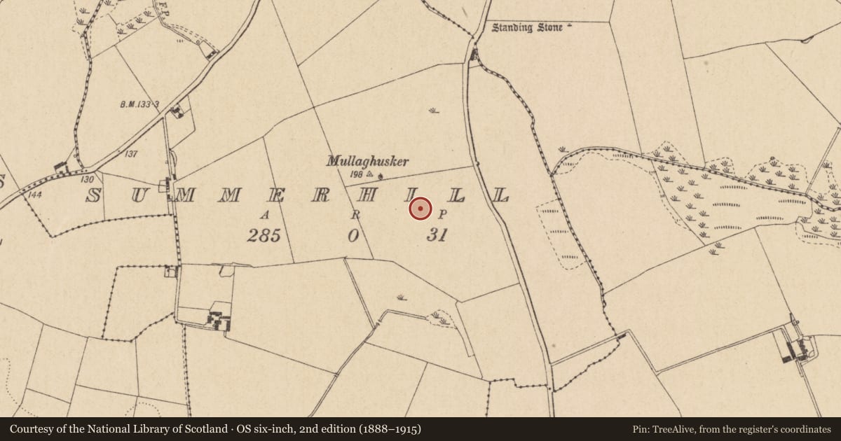 Ordnance Survey six-inch map, 2nd edition (1888–1915) covering the location of Ring-ditch, Summerhill, County Louth, with a pin at the register's coordinates