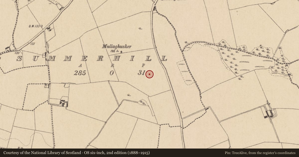 Ordnance Survey six-inch map, 2nd edition (1888–1915) covering the location of Ring-ditch, Summerhill, County Louth, with a pin at the register's coordinates